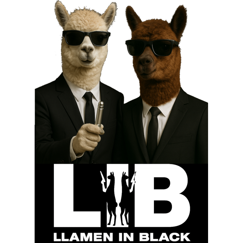 Llamen in Black