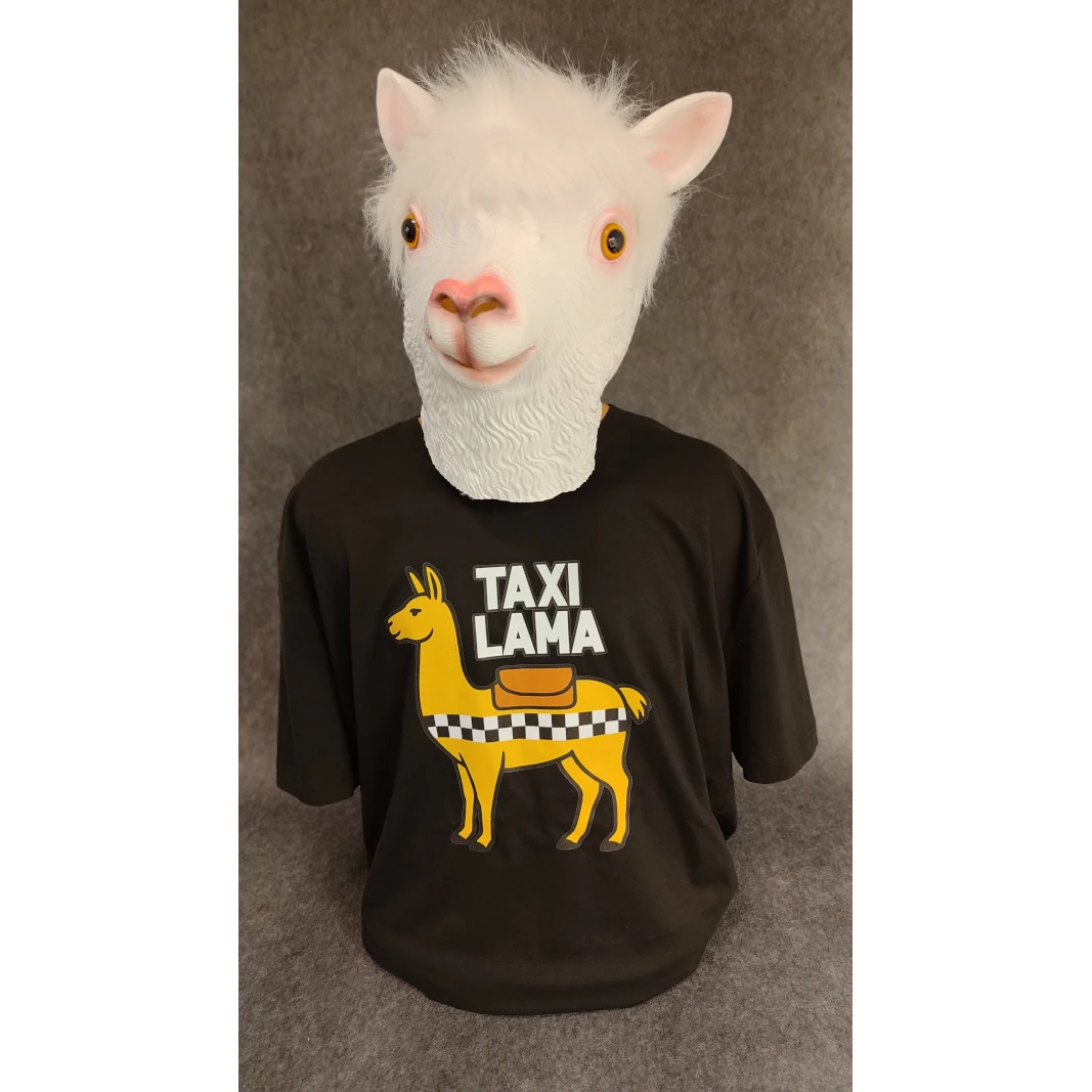 TAXI Lama